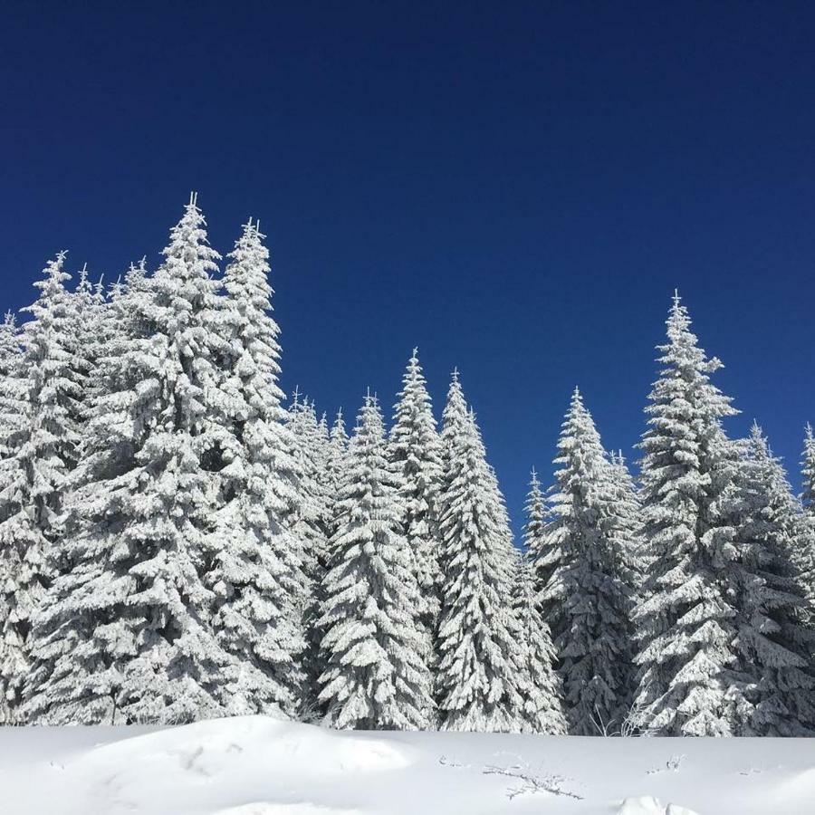 Apartmani Nicole Kopaonik Exteriör bild