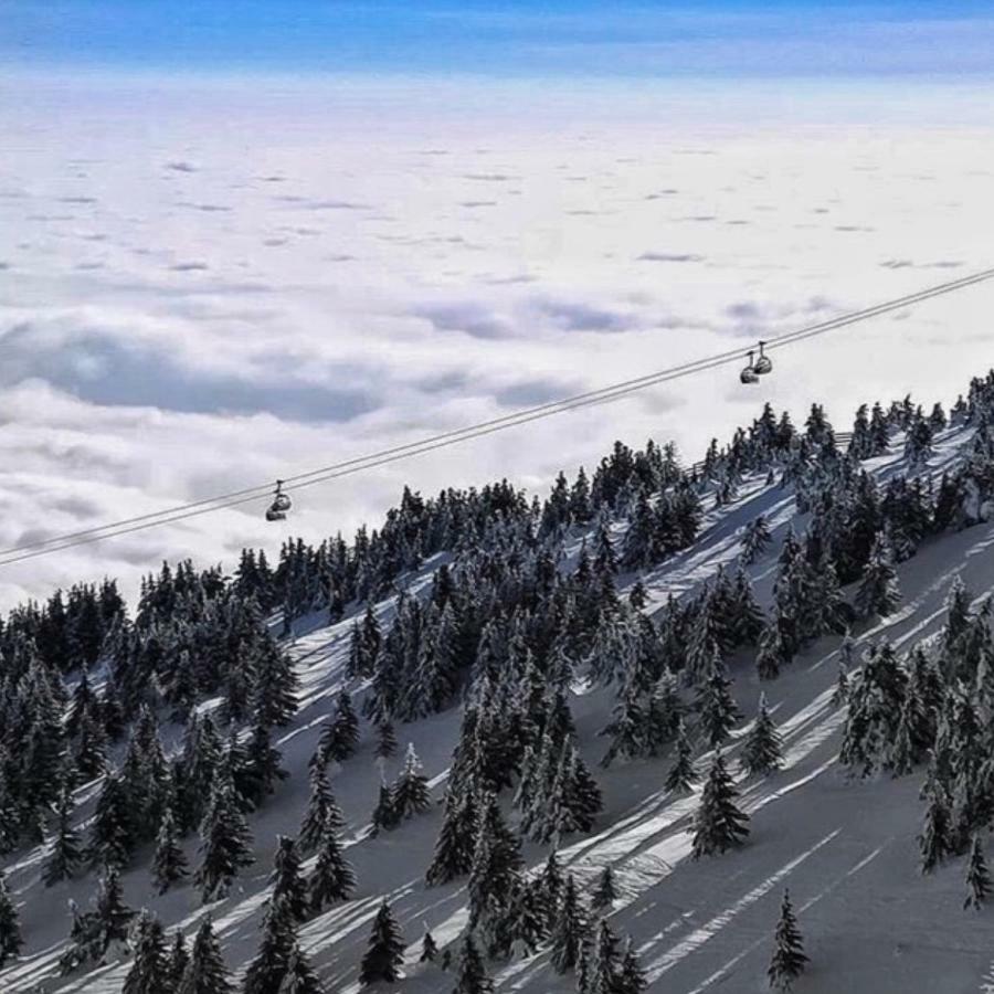 Apartmani Nicole Kopaonik Exteriör bild